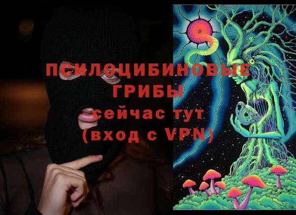гидропоника Янаул