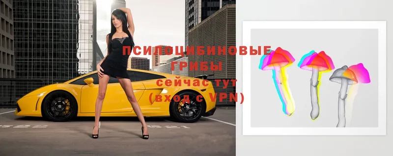 Псилоцибиновые грибы мицелий  Волоколамск 