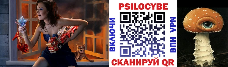 где можно купить наркотик  Волоколамск  Галлюциногенные грибы Magic Shrooms 
