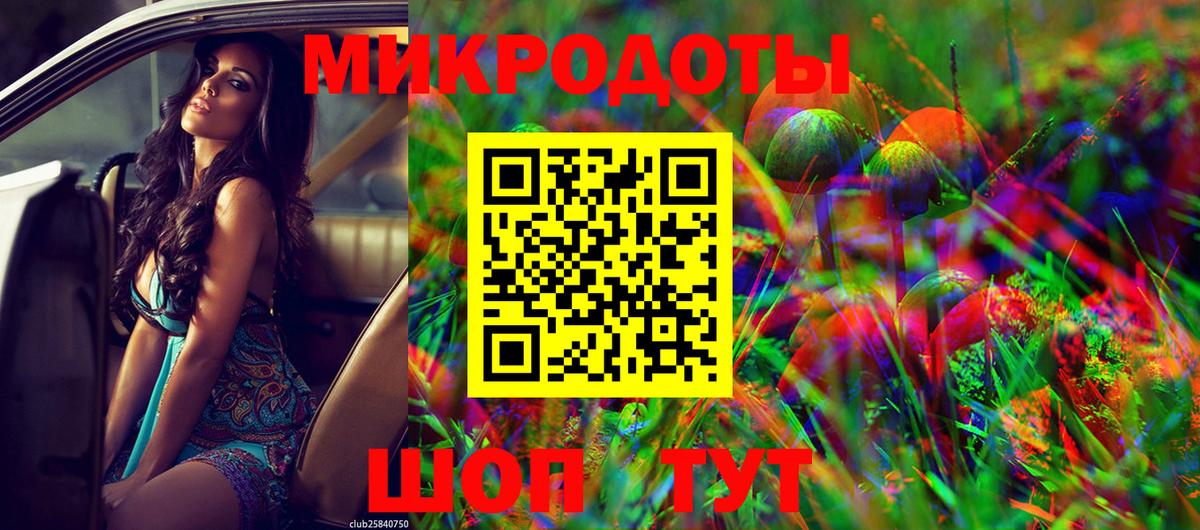 Псилоцибиновые грибы Cubensis Волоколамск
